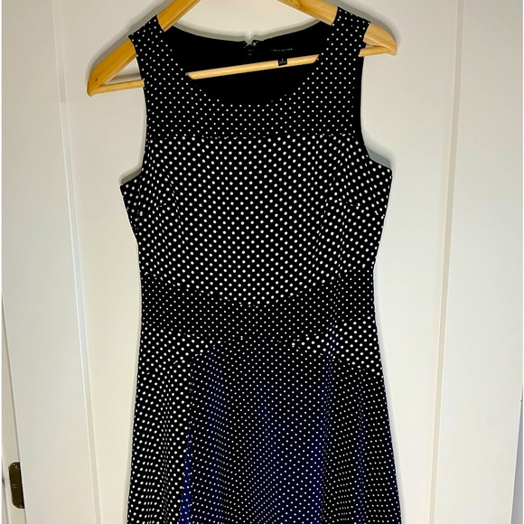 👗The Limited navy blue white white polka-dot knee length dress w/ flare,… - Picture 4 of 10